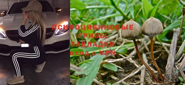 дживик Алзамай